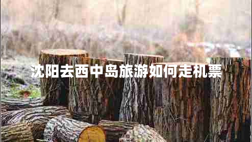 沈陽(yáng)去西中島旅游如何走機(jī)票