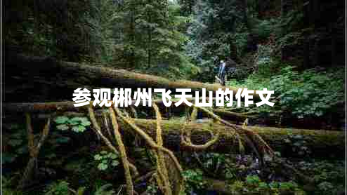 參觀郴州飛天山的作文