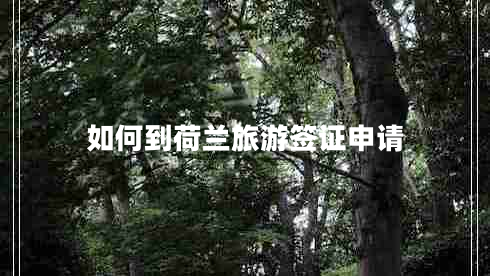 如何到荷蘭旅游簽證申請