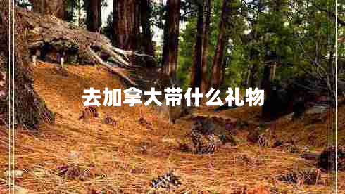 去加拿大帶什么禮物