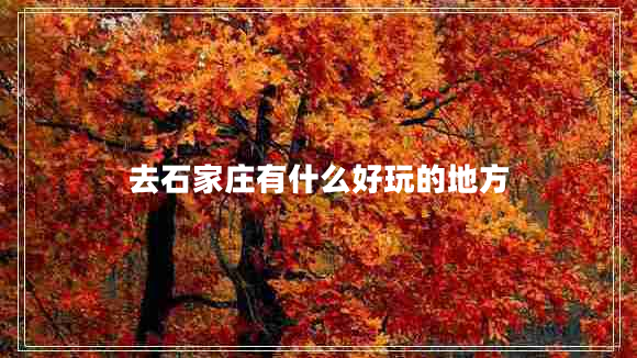 去石家莊有什么好玩的地方