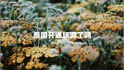 泰國(guó)開通旅游了嗎