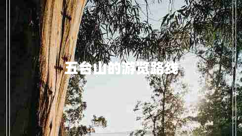 五臺山的游覽路線