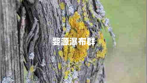 婺源瀑布群 婺源瀑布群