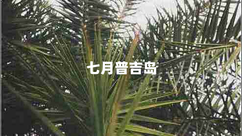 七月普吉島