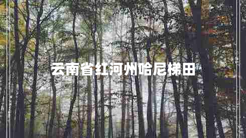 云南省紅河州哈尼梯田 云南省紅河州哈尼梯田