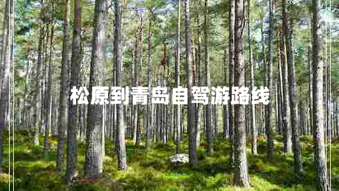 松原到青島自駕游路線 松原到青島自駕游路線