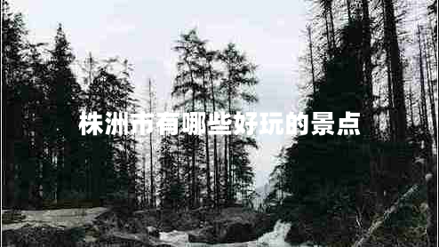 株洲市有哪些好玩的景點(diǎn)