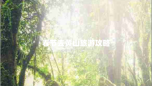 春節(jié)去黃山旅游攻略