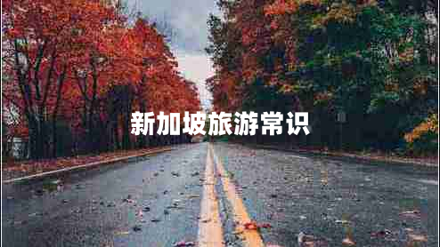 新加坡旅游常識(shí) 新加坡旅游常識(shí)