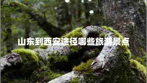 山東到西安途徑哪些旅游景點(diǎn)