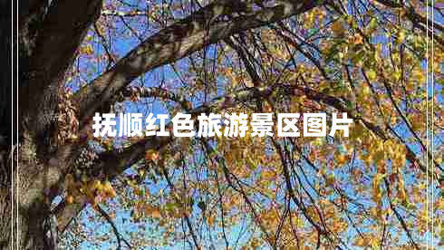 撫順紅色旅游景區(qū)圖片