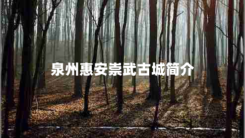 泉州惠安崇武古城簡介