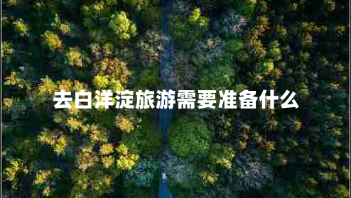去白洋淀旅游需要準(zhǔn)備什么