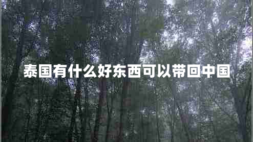 泰國有什么好東西可以帶回中國