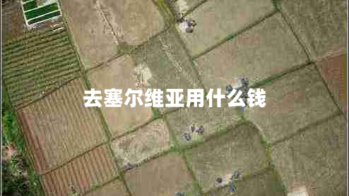 去塞爾維亞用什么錢(qián)