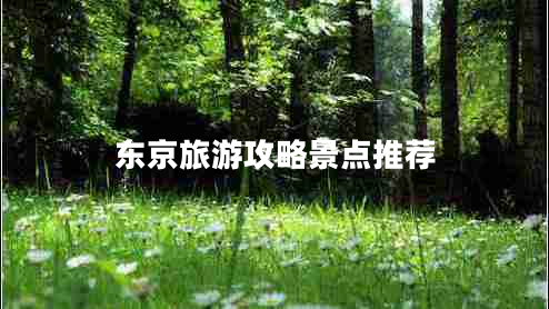 東京旅游攻略景點推薦 東京旅游攻略景點推薦