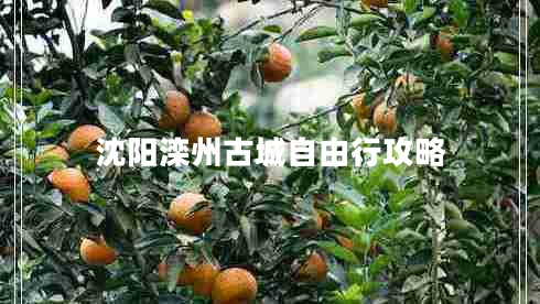 沈陽(yáng)灤州古城自由行攻略