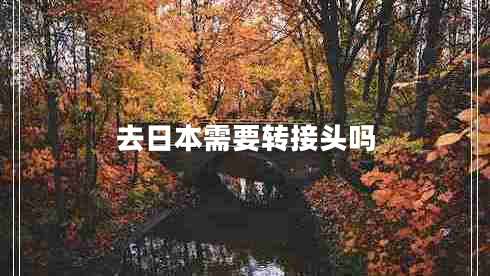 去日本需要轉(zhuǎn)接頭嗎