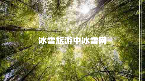 冰雪旅游中冰雪網(wǎng)