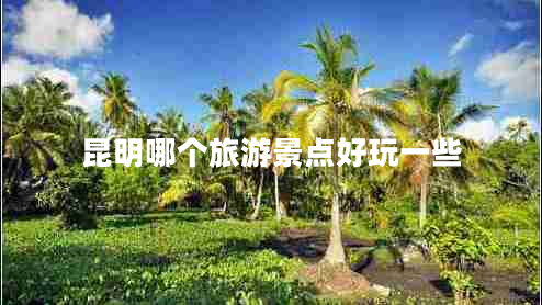 昆明哪個(gè)旅游景點(diǎn)好玩一些