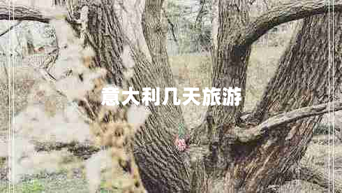 意大利幾天旅游