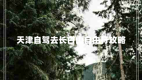天津自駕去長(zhǎng)白山自由行攻略