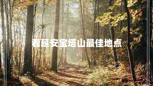 看延安寶塔山最佳地點(diǎn)