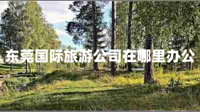 東莞國際旅游公司在哪里辦公