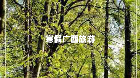 寒假?gòu)V西旅游