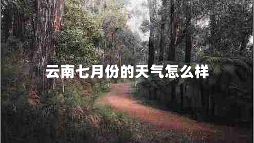 云南七月份的天氣怎么樣