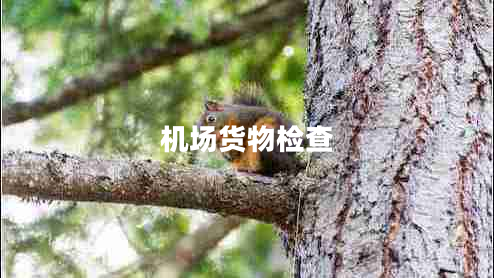 機(jī)場(chǎng)貨物檢查