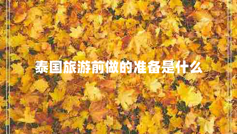 泰國旅游前做的準備是什么