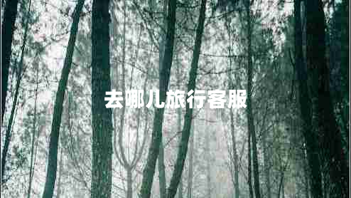 去哪兒旅行客服 去哪兒旅行客服