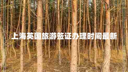 上海英國旅游簽證辦理時間最新