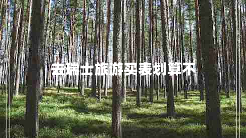 去瑞士旅游買表劃算不