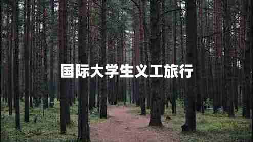 國(guó)際大學(xué)生義工旅行