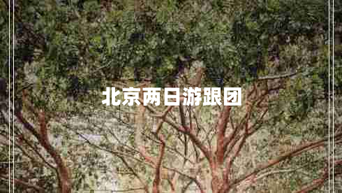 北京兩日游跟團(tuán)