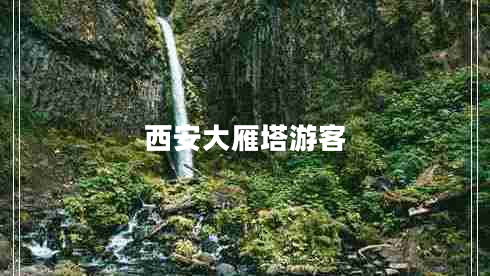 西安大雁塔游客 西安大雁塔游客