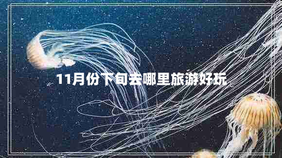 11月份下旬去哪里旅游好玩