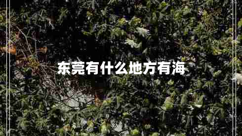 東莞有什么地方有海