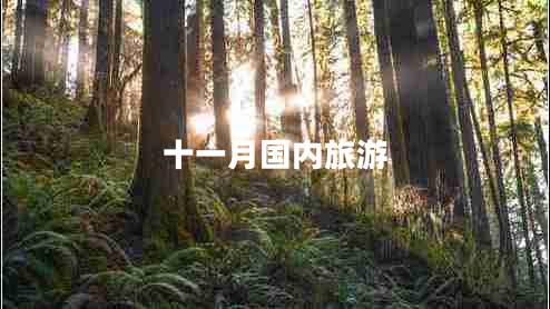 十一月國內(nèi)旅游 十一月國內(nèi)旅游