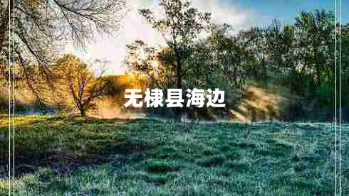 無棣縣海邊 無棣縣海邊