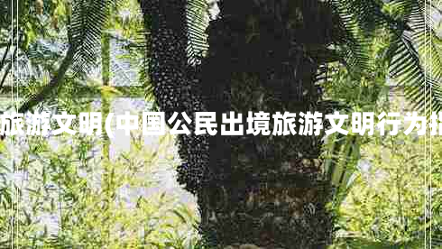 境)旅游文明(中國公民出境旅游文明行為指南