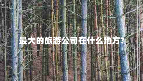 最大的旅游公司在什么地方?