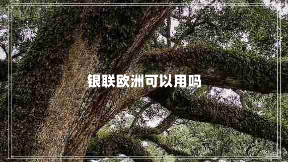 銀聯(lián)歐洲可以用嗎 銀聯(lián)歐洲可以用嗎