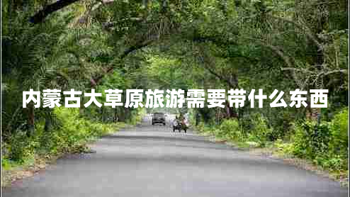 內蒙古大草原旅游需要帶什么東西