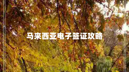 馬來西亞電子簽證攻略