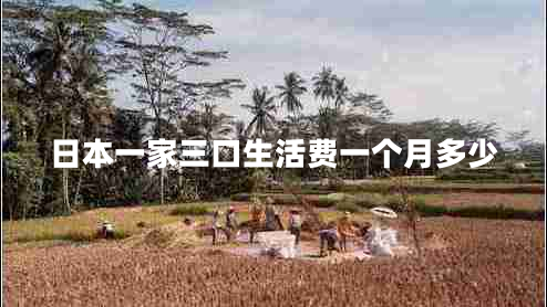 日本一家三口生活費一個月多少