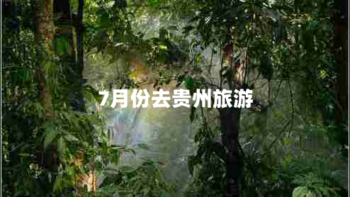 7月份去貴州旅游